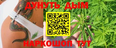 шишки Лесосибирск