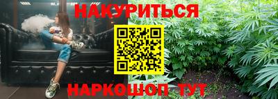 шишки Лесосибирск