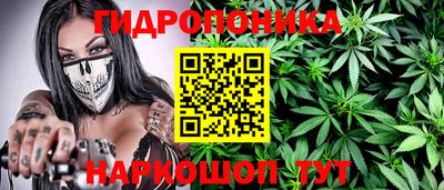 шишки Лесосибирск