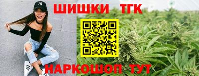 шишки Лесосибирск