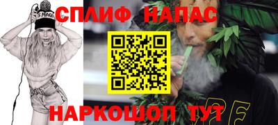 шишки Лесосибирск