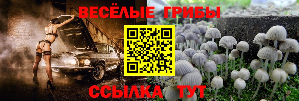 Зима  Псилоцибиновые грибы MAGIC MUSHROOMS  Вход с VPN 