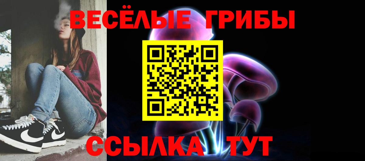 Псилоцибиновые грибы MAGIC MUSHROOMS Зима