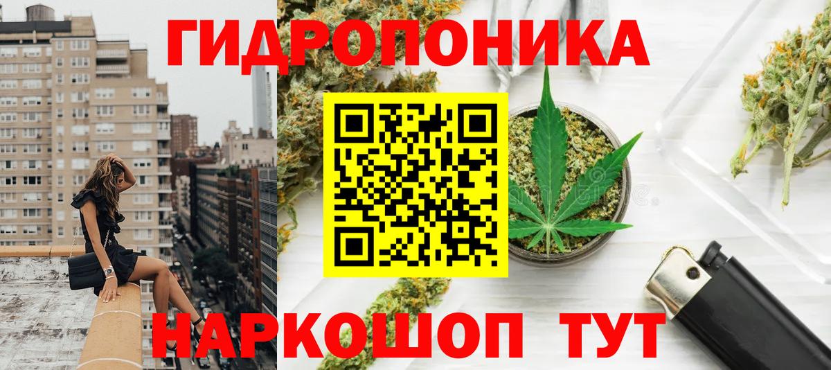 Зима  Бошки марихуана тримм  МАРИХУАНА MAZAR  Вход с VPN  Каннабис THC 21% 